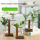 Hydroponic Plant Vase