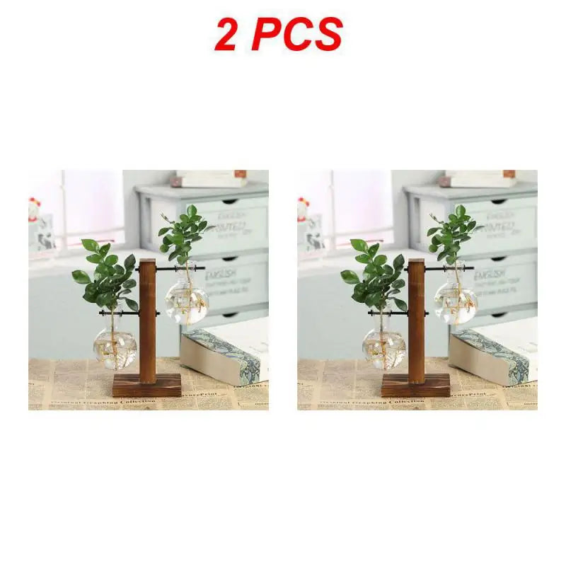 Hydroponic Plant Vase