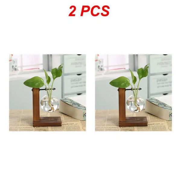 Hydroponic Plant Vase