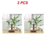 Hydroponic Plant Vase