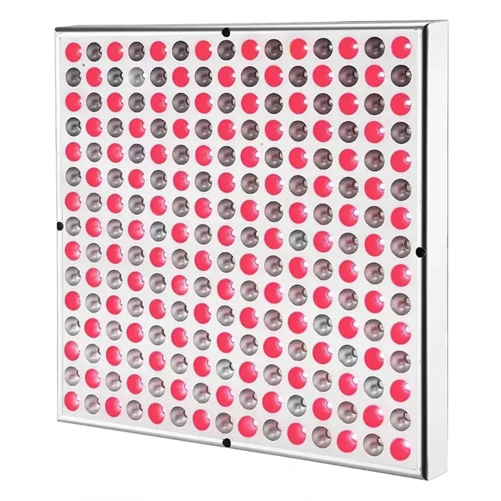 LED Infrared Therapeutic Plate